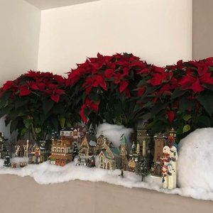 Meet your Posher, Donna